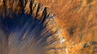 What Kinds of Life Forms Could Actually Live on Mars?